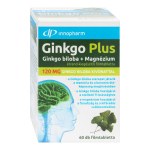 Innopharm Ginkgo Plus