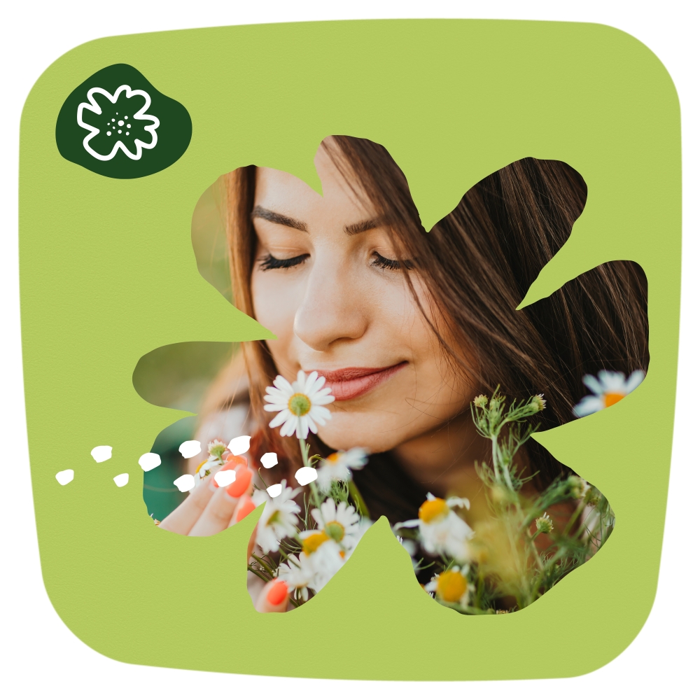 Naturella normál betét kamilla 20x - Image 7