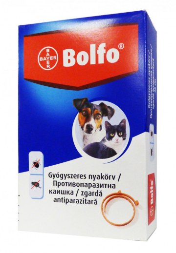 BOLFO BOLHA,KULLANCS NYAKORV 38CM KICSI