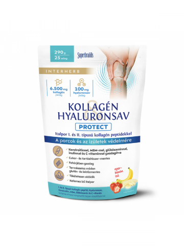 Interherb KOLLAGÉN HYALURONSAV PROTECT POR 290G