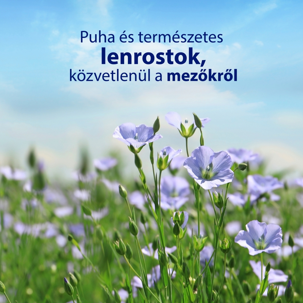 Zewa Nedves Törlő Almond Milk 80 db - Image 4