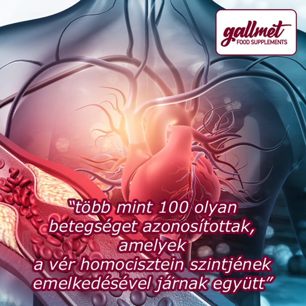 Gallmet Szív+Ér Kapszula 90X - Image 7