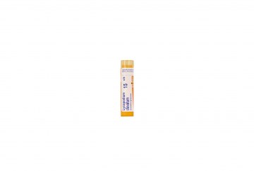 LYCOPODIUM CLAVATUM GOLYÓCSKÁK 15CH (Lycopodium)