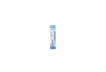 RUTA GRAVEOLENS GOLYÓCSKÁK 9CH