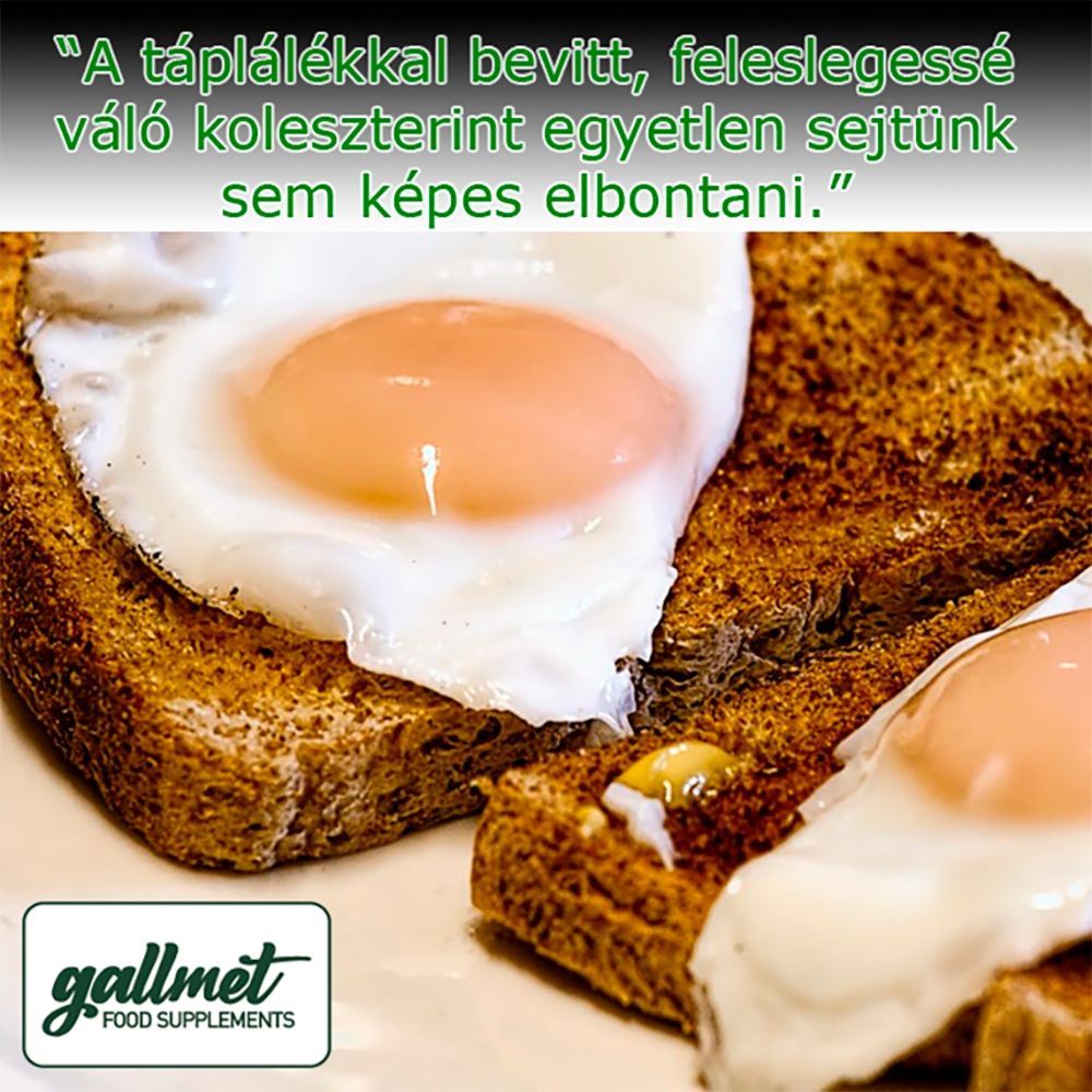 Gallmet Natural Etrendkieg.kapsz. 30X - Image 6