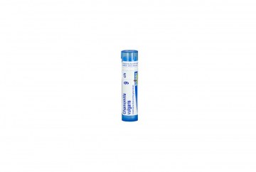 Boiron Chamomilla Vulgaris C9 1x 4g