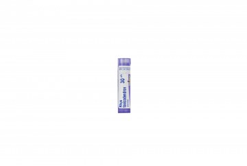 Boiron Rhus Toxicodendron C2-C30 4g