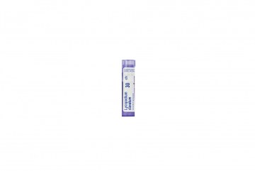 Boiron Lycopodium Clavatum Golyócskák  C1 - C30 4 G