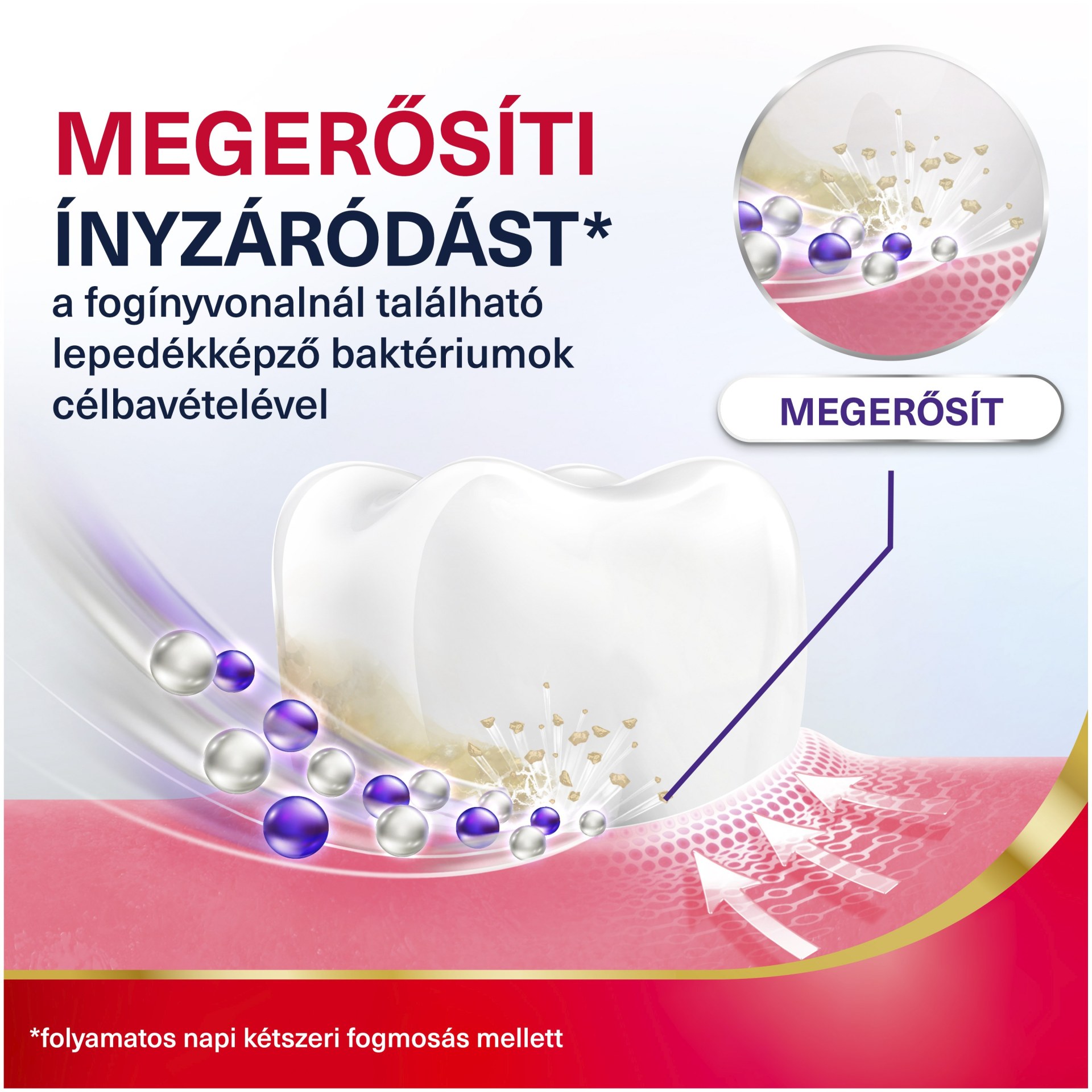 Parodontax Gum Strengthen & Protect fogkrém fresh mint 75 ml - Image 5